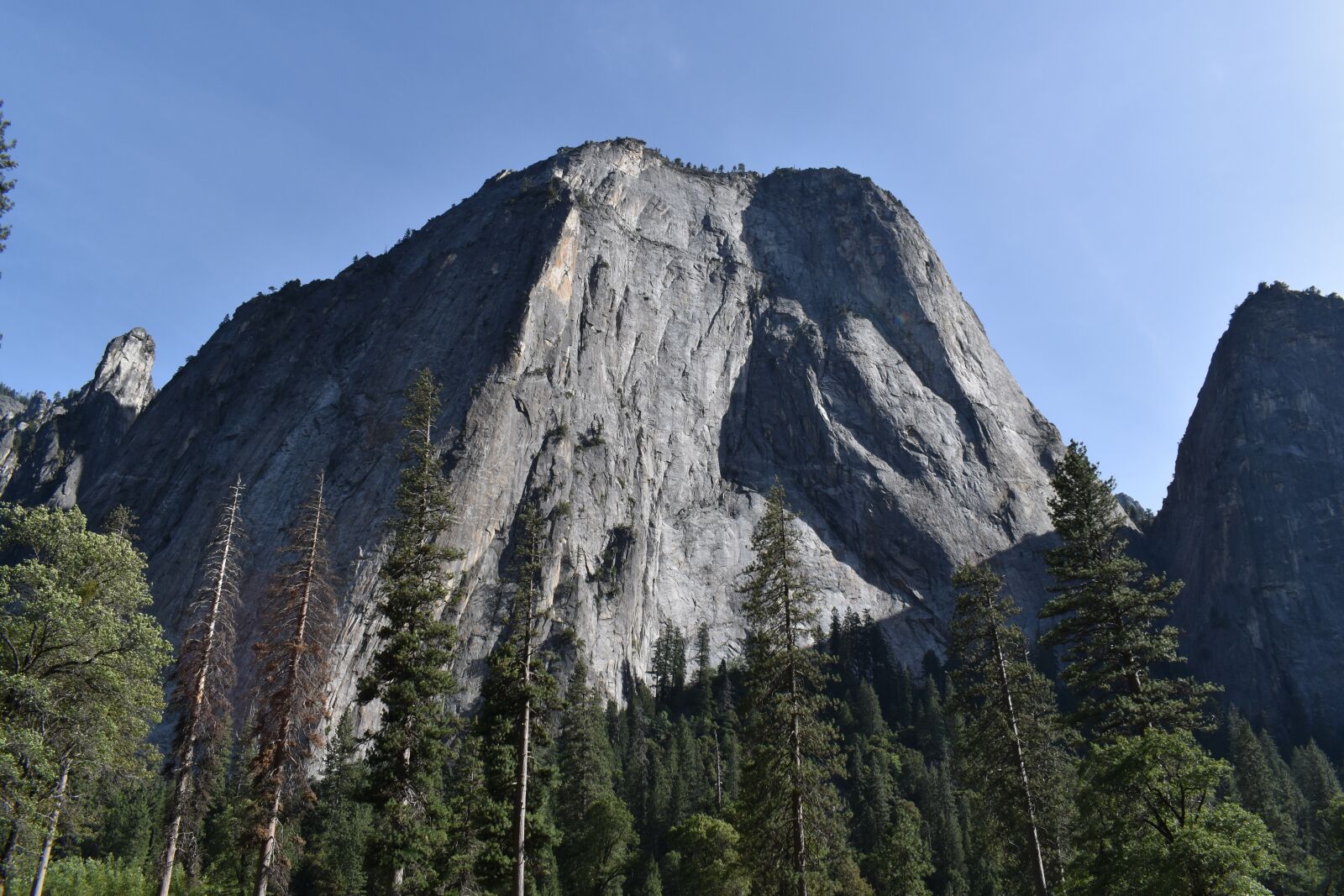 Nikon D5600 sample photo. Yosemite, mountain, wall photography
