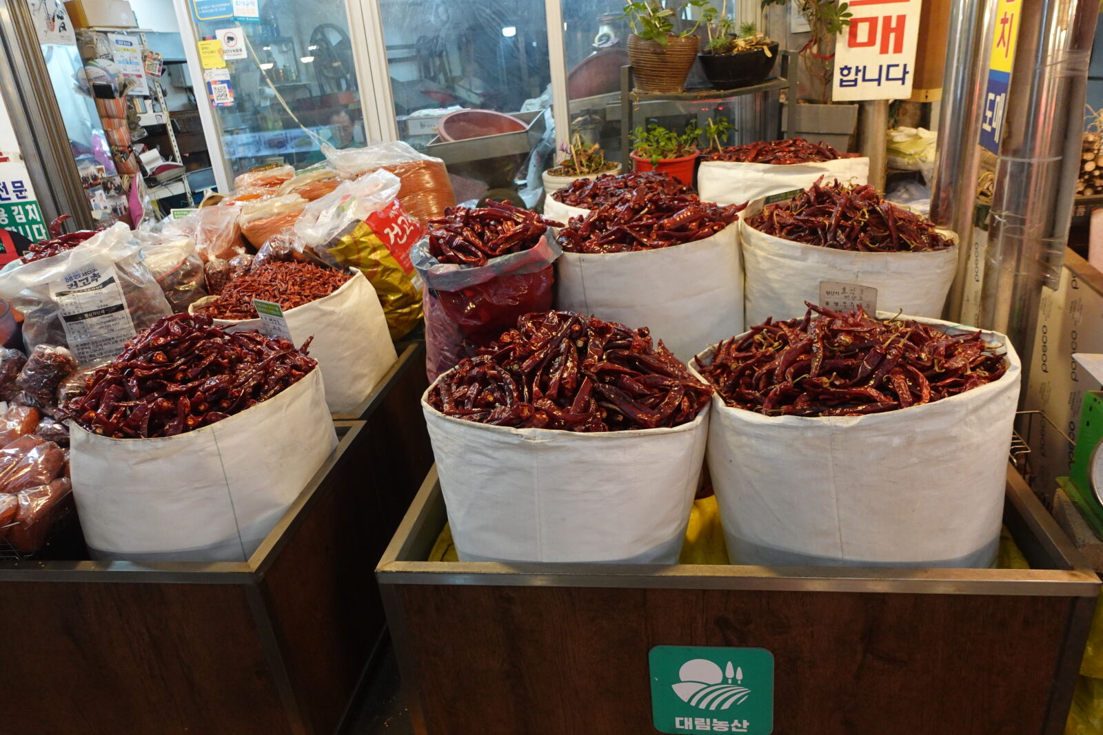 Sony ZV-1 sample photo