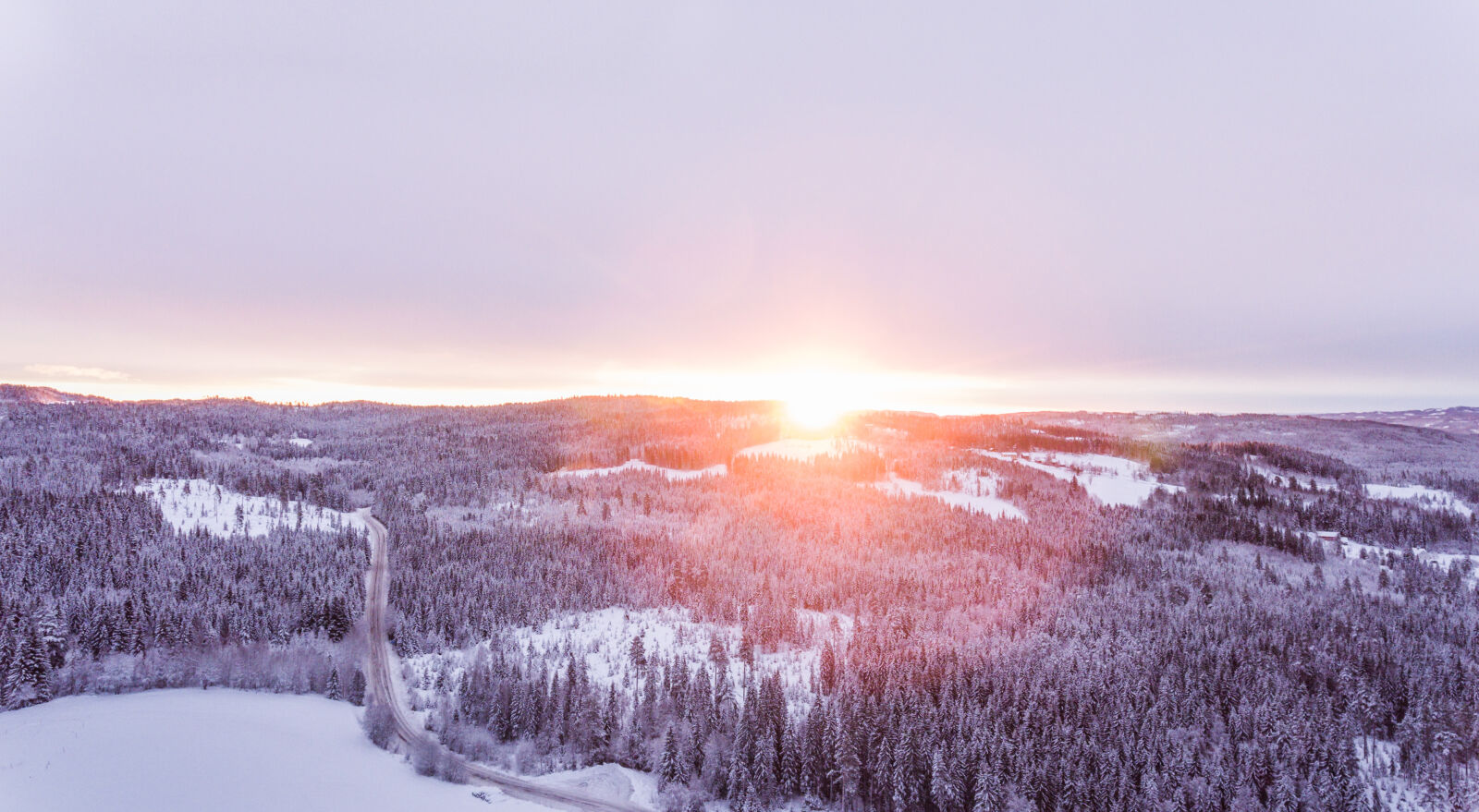 DJI FC330 sample photo. Aerial, climate, cold, conifer photography