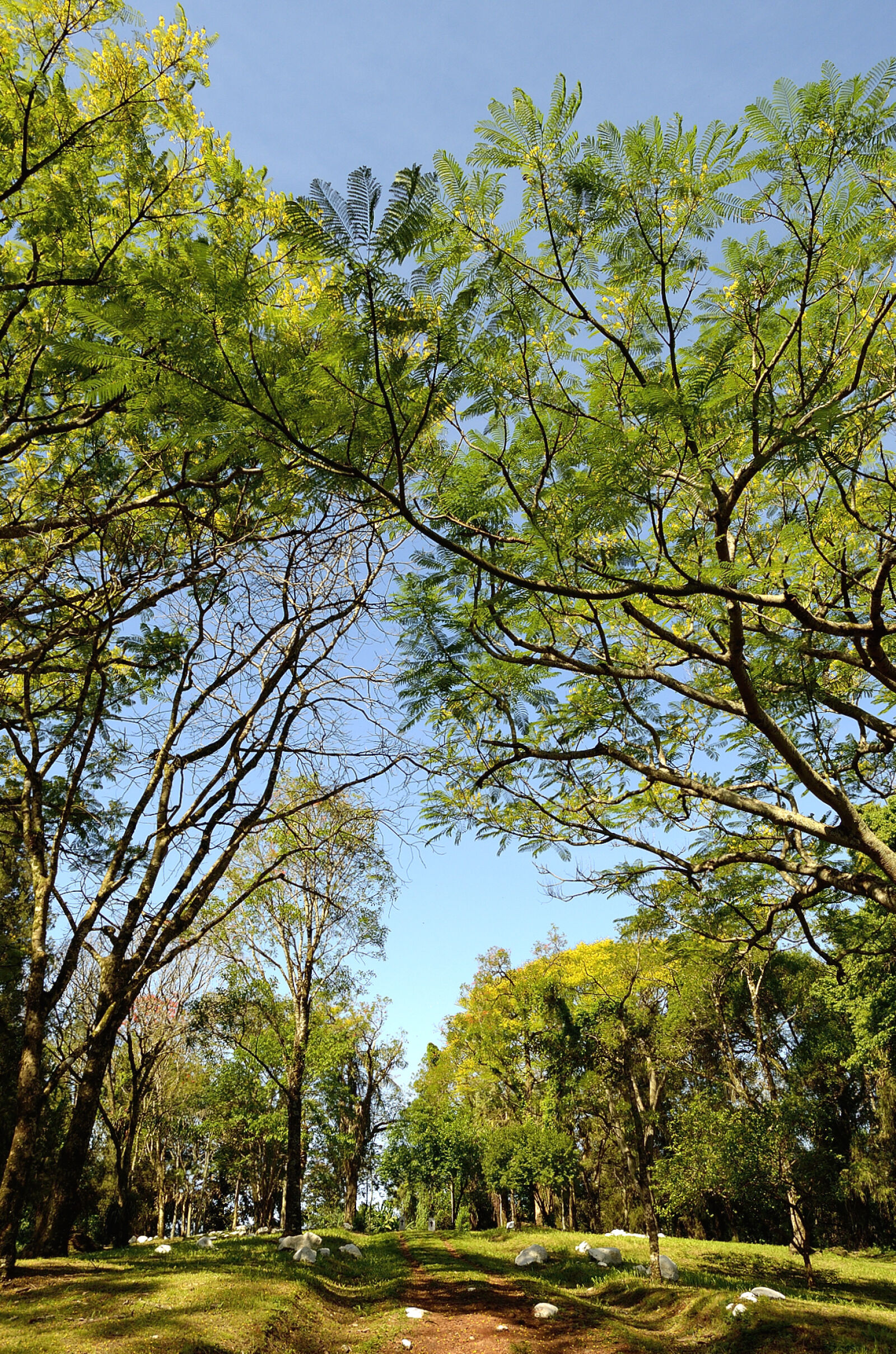Nikon D5100 sample photo