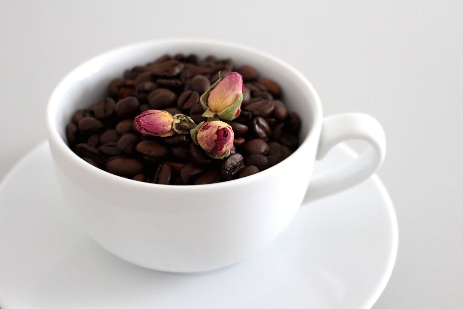 Canon EOS 700D (EOS Rebel T5i / EOS Kiss X7i) sample photo. Food, bowl, cup photography