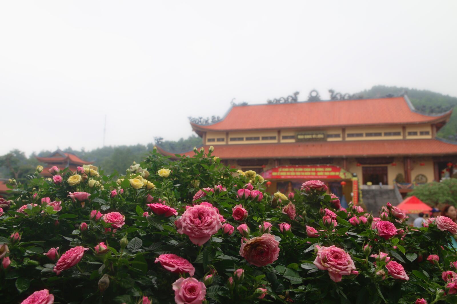 Canon EOS 70D sample photo. Temple of the three photography