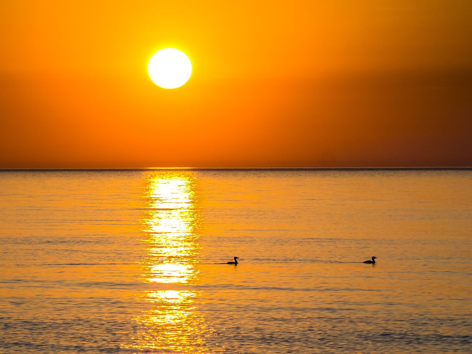 Olympus Zuiko Digital ED 70-300mm F4.0-5.6 sample photo. Landscape, sea, sunset photography