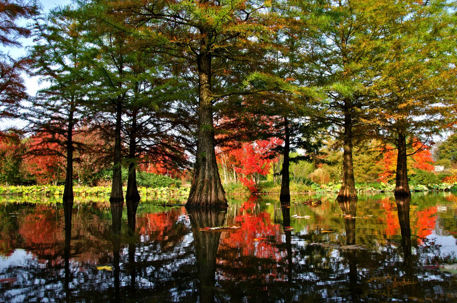 Nikon D5100 sample photo. Nature, water reflection, landscape photography
