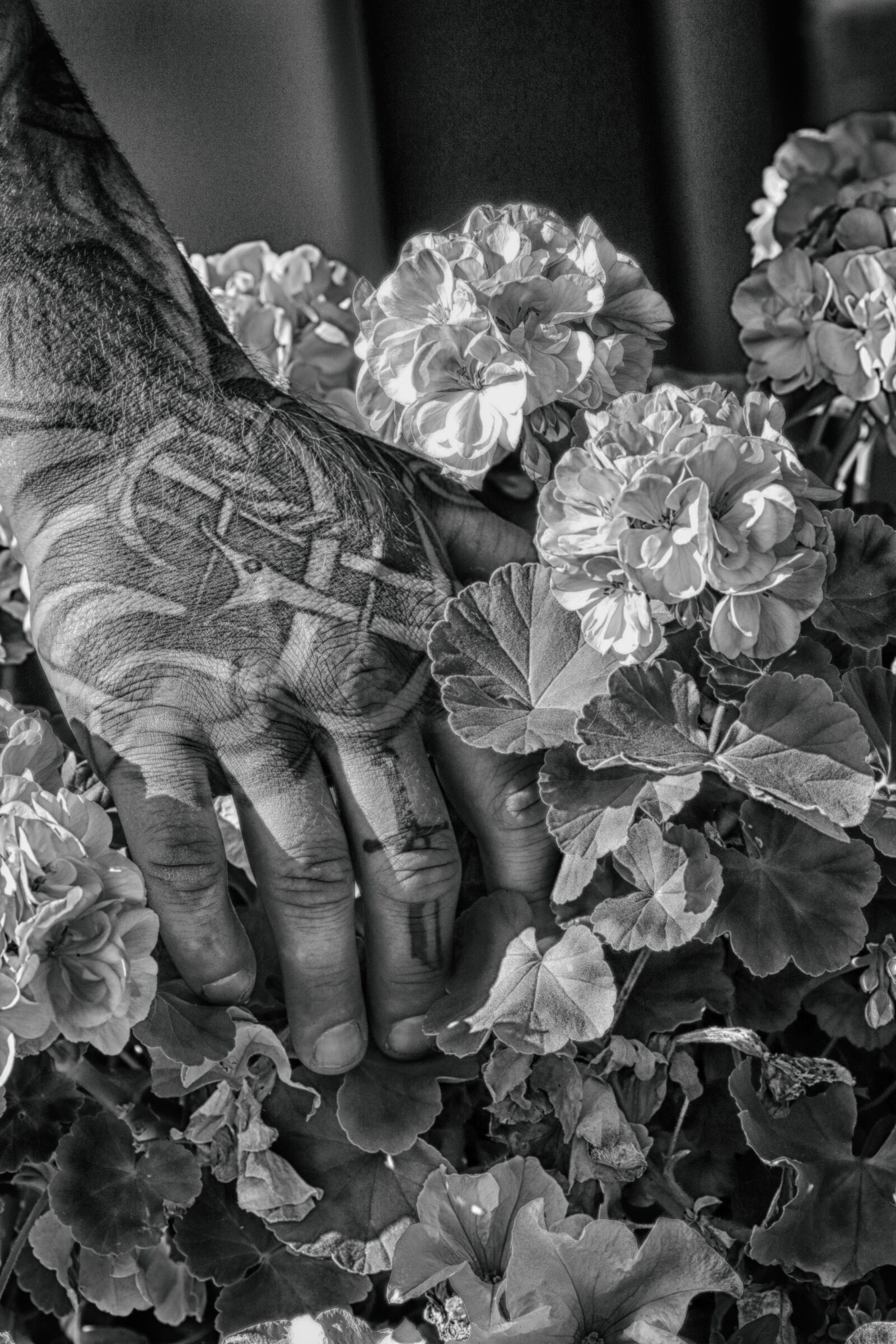 Canon EOS 7D Mark II + Canon EF 135mm F2L USM sample photo. Tattoo, hand, flower photography