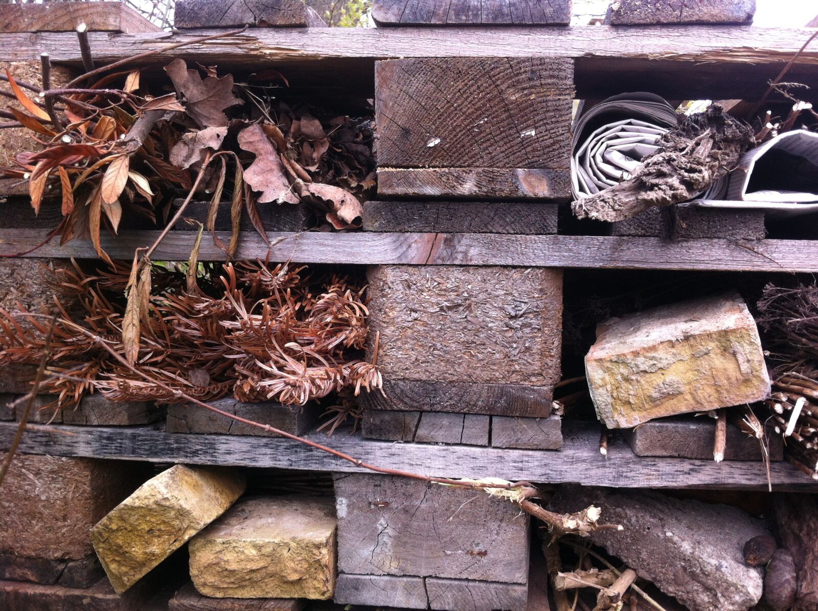 iPhone 4 back camera 3.85mm f/2.8 sample photo. Insect, insecthotel, farming photography