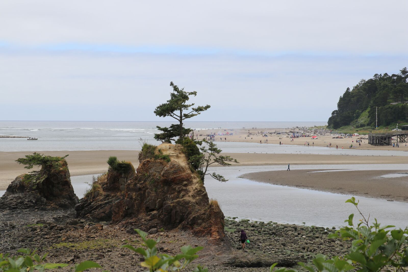 Canon EOS 80D sample photo. Oregon, oregon coast, beach photography