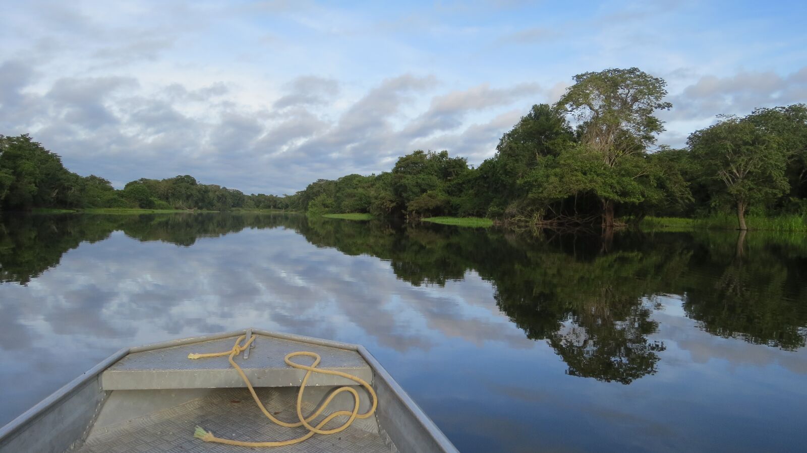 Canon PowerShot SX50 HS sample photo. Rio, guaporé, amazon photography