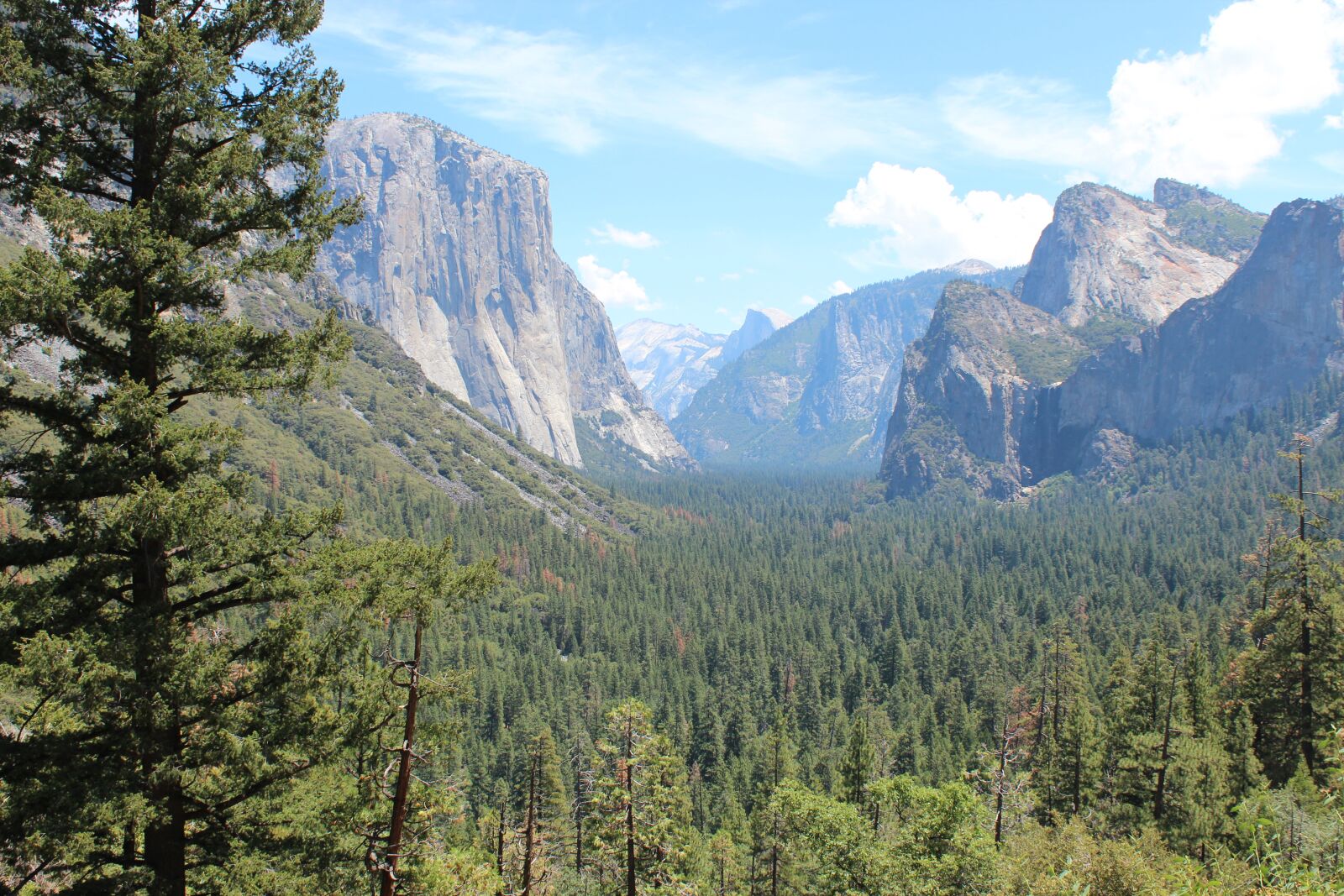 Canon EOS 600D (Rebel EOS T3i / EOS Kiss X5) sample photo. Yosemite park, yosemite, yosemite photography