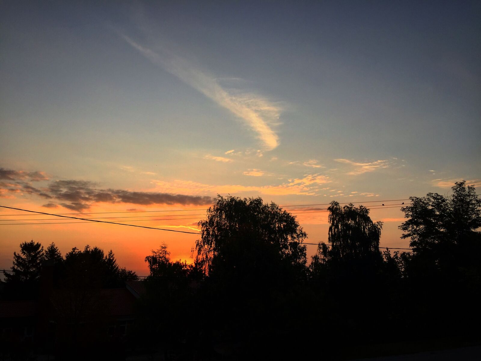 Apple iPhone 6 sample photo. In the morning, sunrise photography