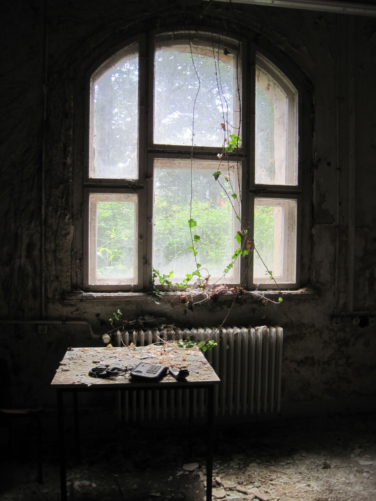 Canon PowerShot D10 sample photo. Table, window, heating photography