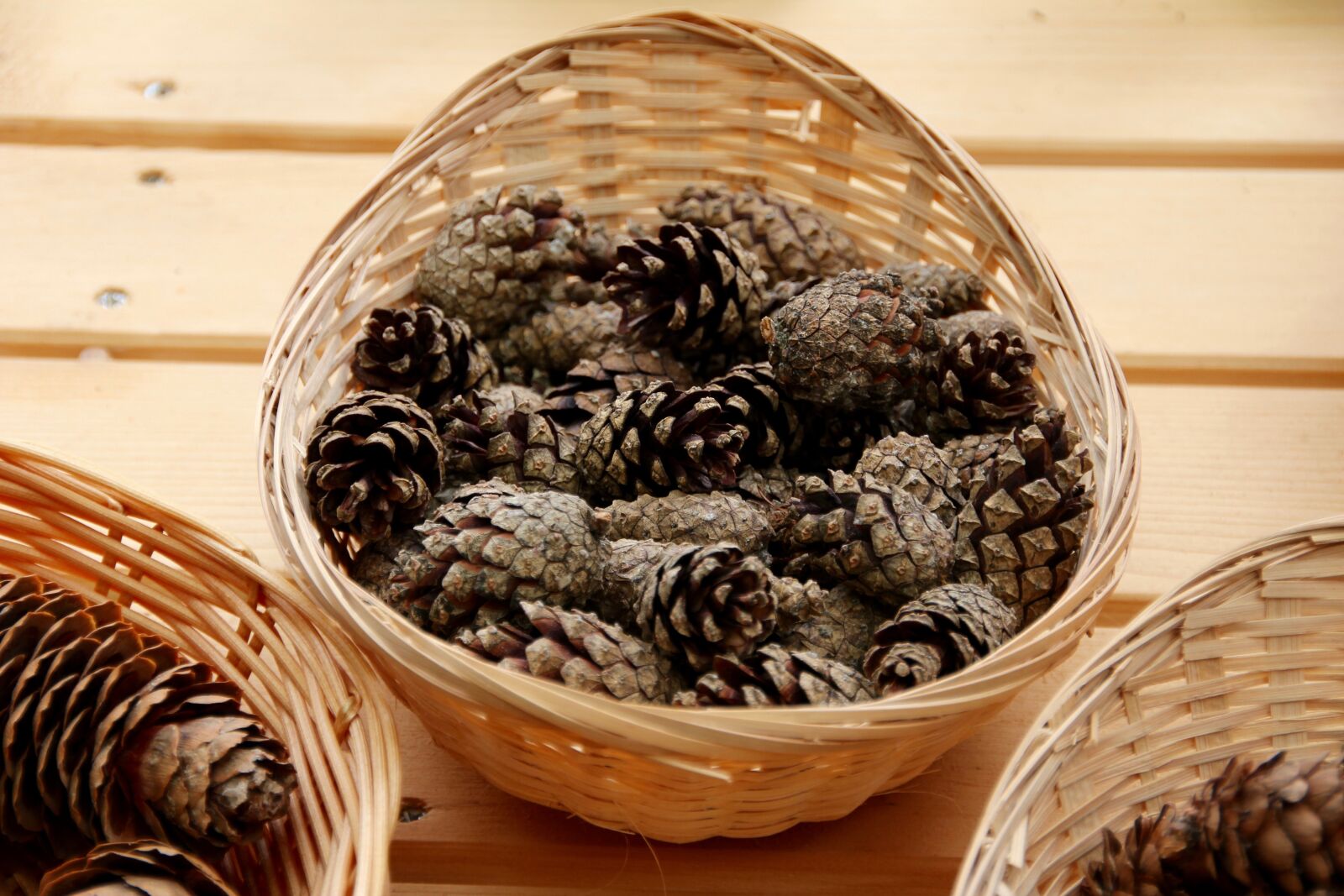Canon EOS 60D sample photo. Pine cone, tap, winter photography