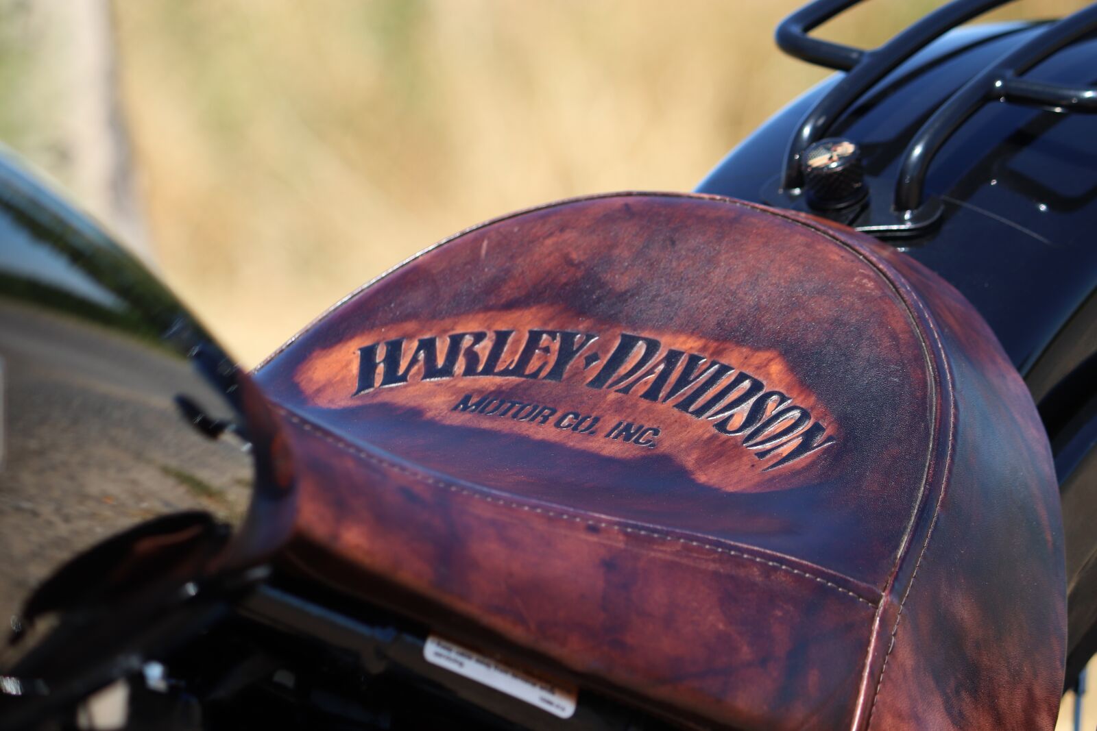 Canon EOS 200D (EOS Rebel SL2 / EOS Kiss X9) sample photo. Harley, softail, slims photography