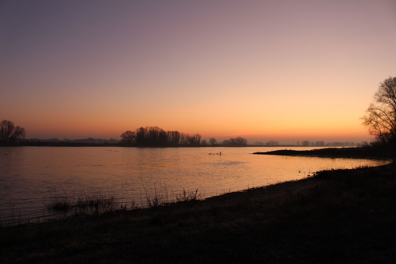 Canon EOS 100D (EOS Rebel SL1 / EOS Kiss X7) sample photo. Nature reserve, wendland, elbe photography