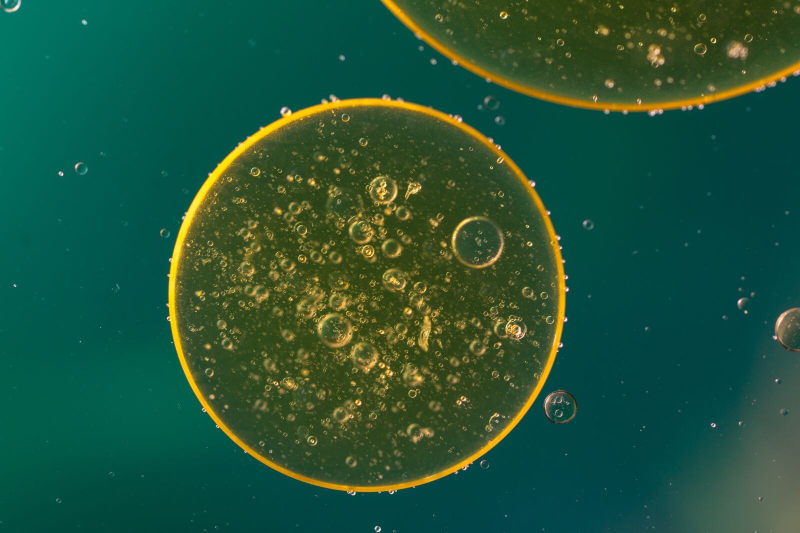 Canon EF 50mm F2.5 Macro sample photo. Oil in water, liquid photography