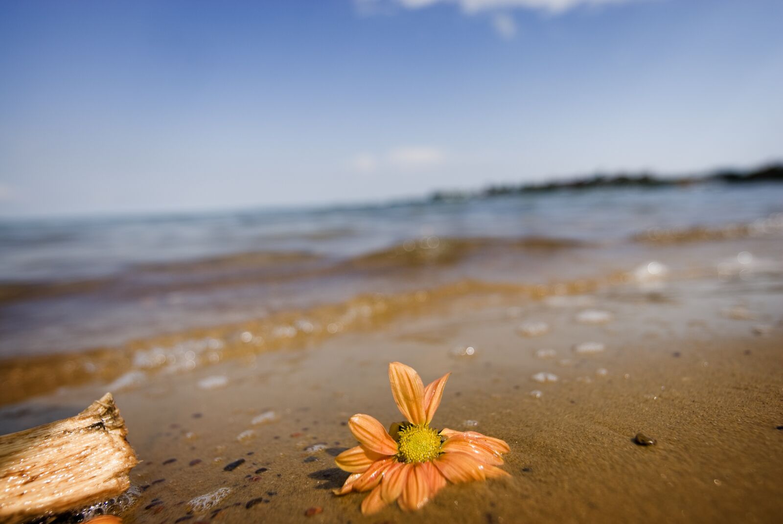 Nikon D200 sample photo. Lake victoria, uganda, africa photography