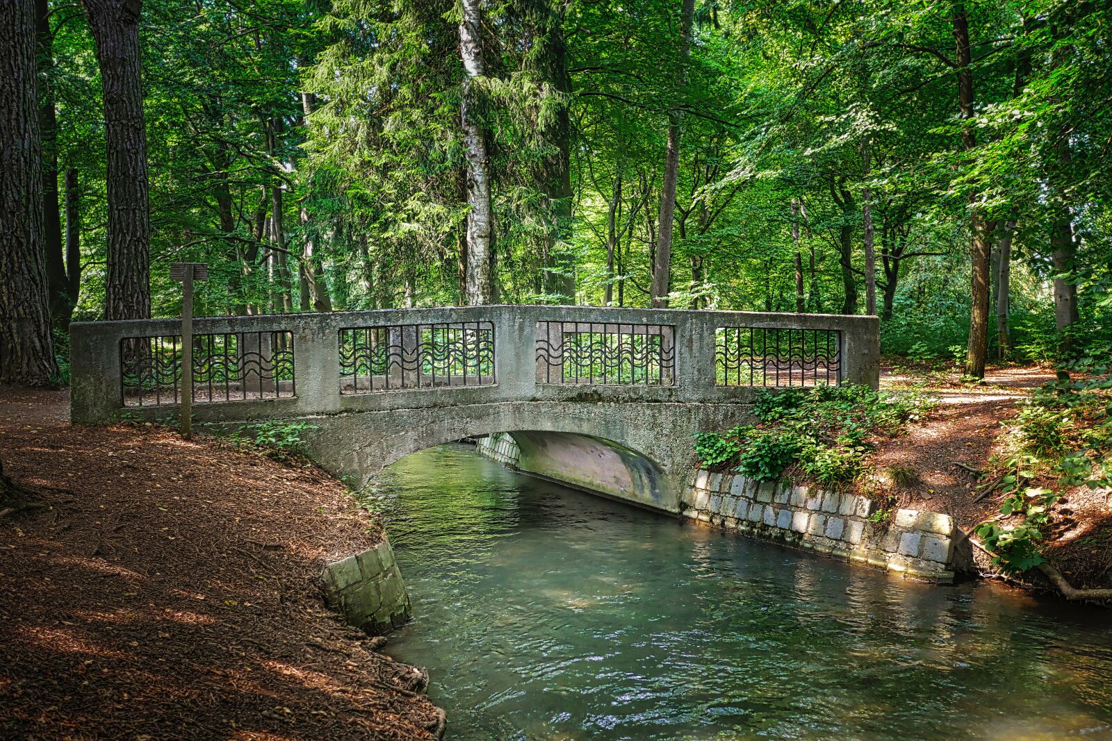 Panasonic Lumix DMC-GX8 sample photo. Forest, river, bach photography
