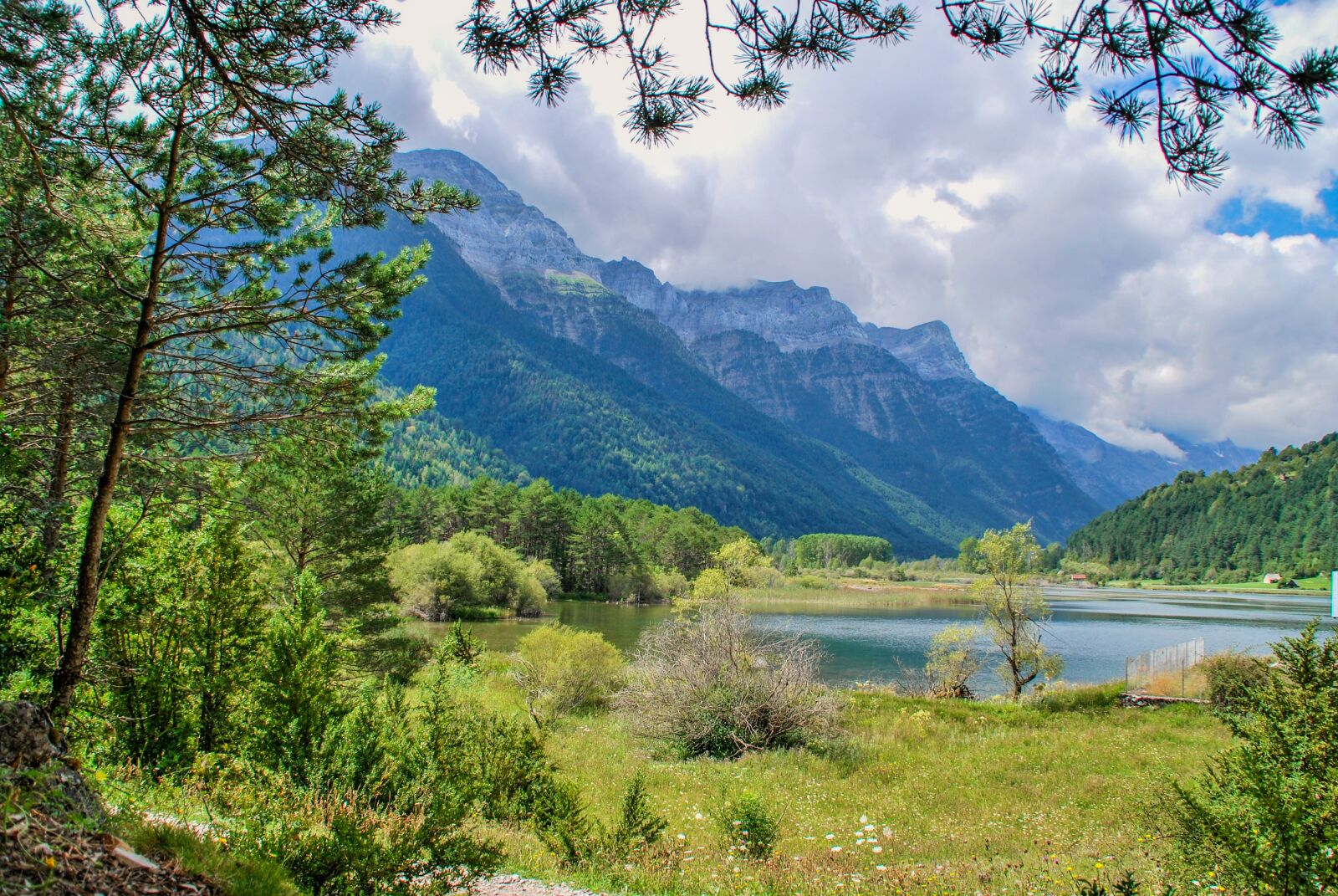 Nikon D60 sample photo. Nature, body of water photography