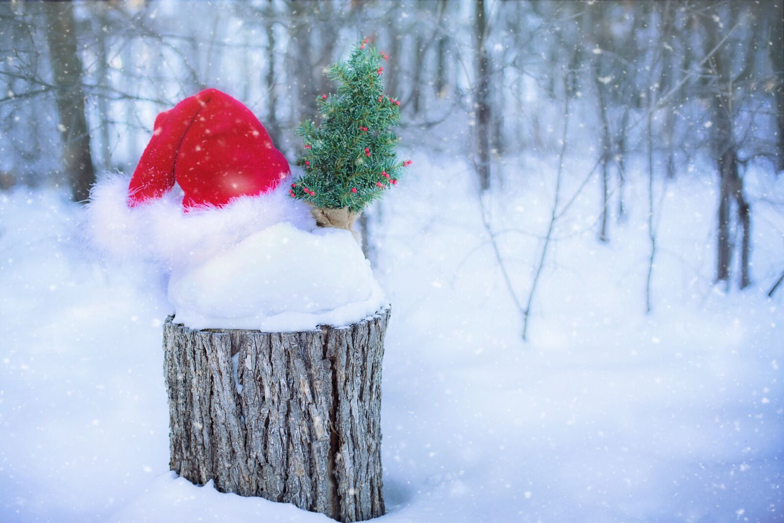 Canon EF 50mm F1.4 USM sample photo. Santa's hat, snow, winter photography