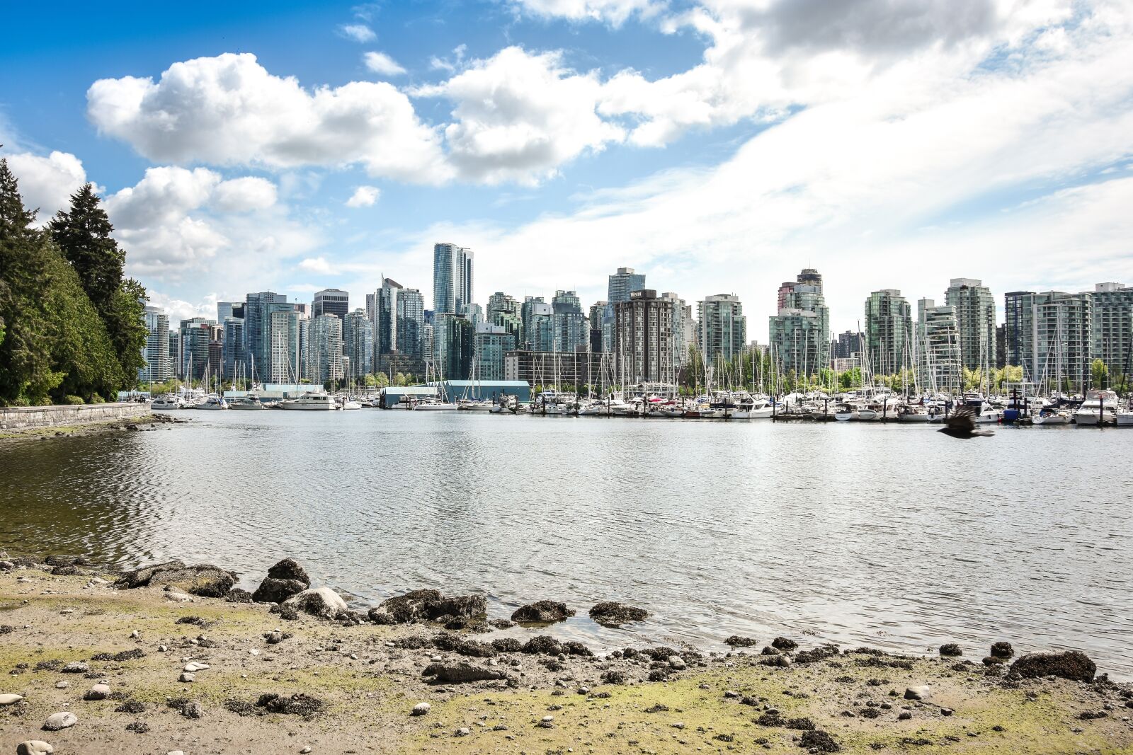 Nikon D7200 sample photo. Vancouver, canada, water photography