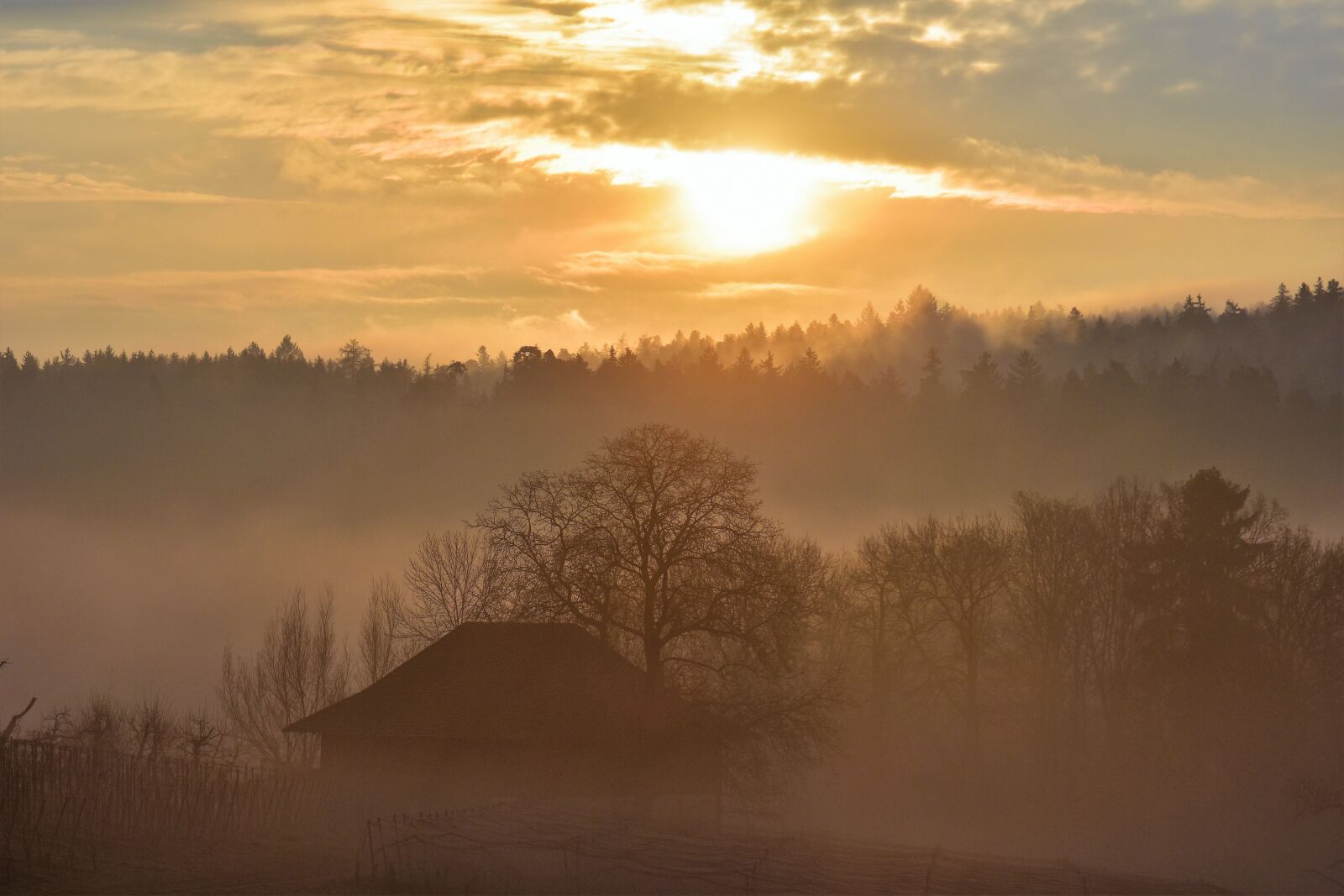 Nikon D5500 sample photo. Landscape, morgenrot, autumn photography