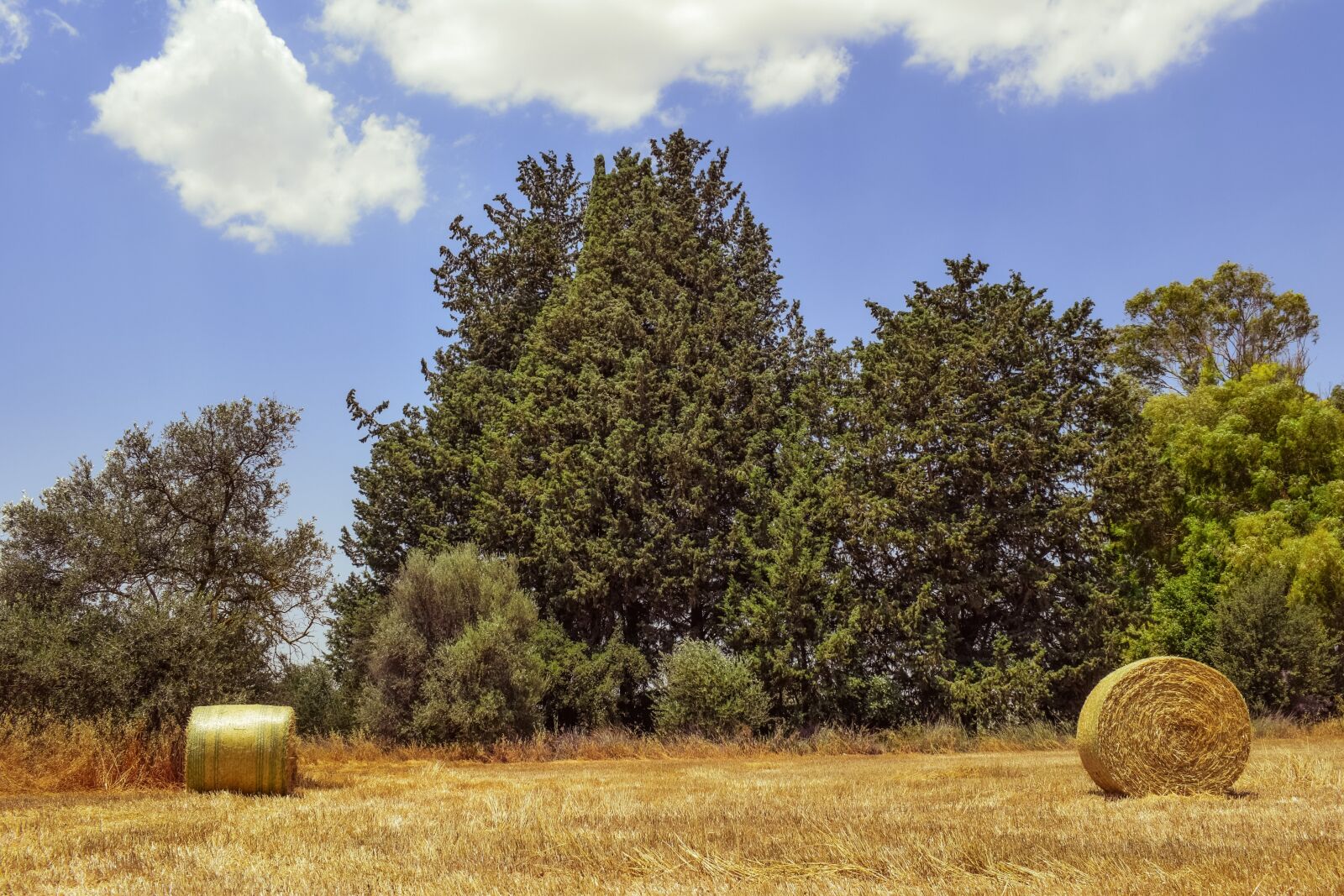 Nikon D3300 sample photo. Hay, bales, field photography