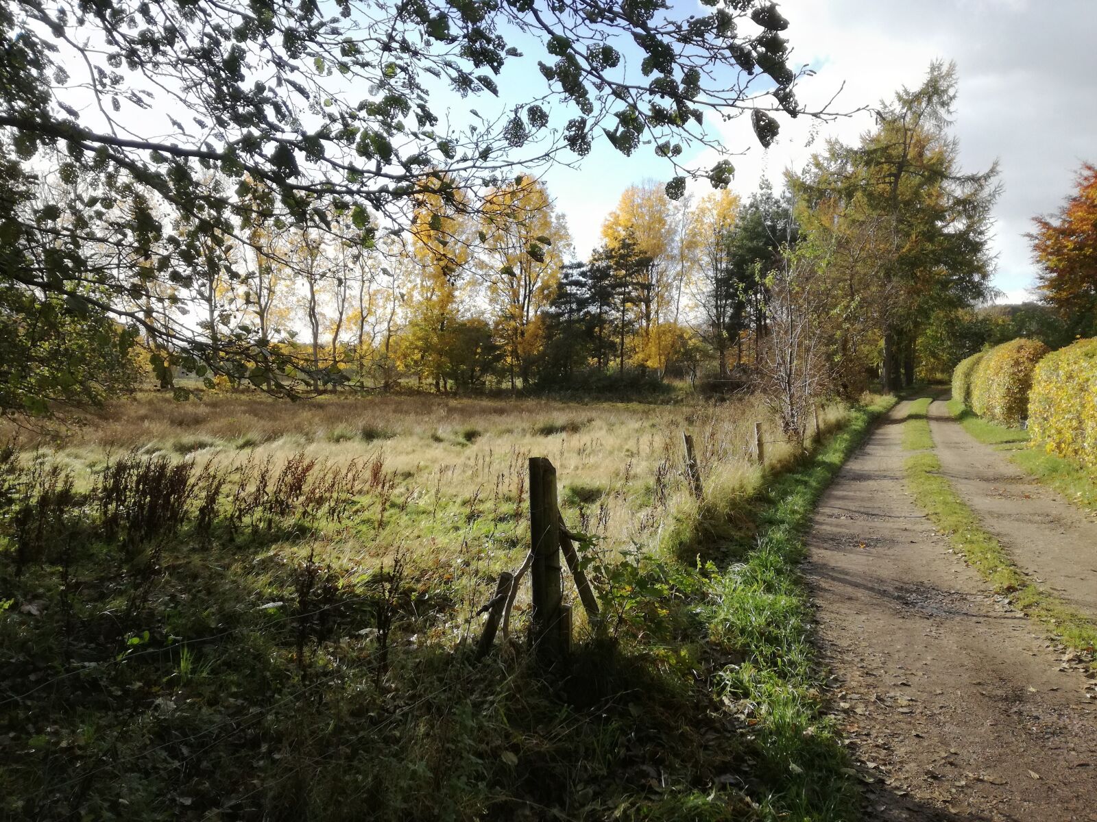 HUAWEI P9 LITE sample photo. Autumn, fall, landscape photography