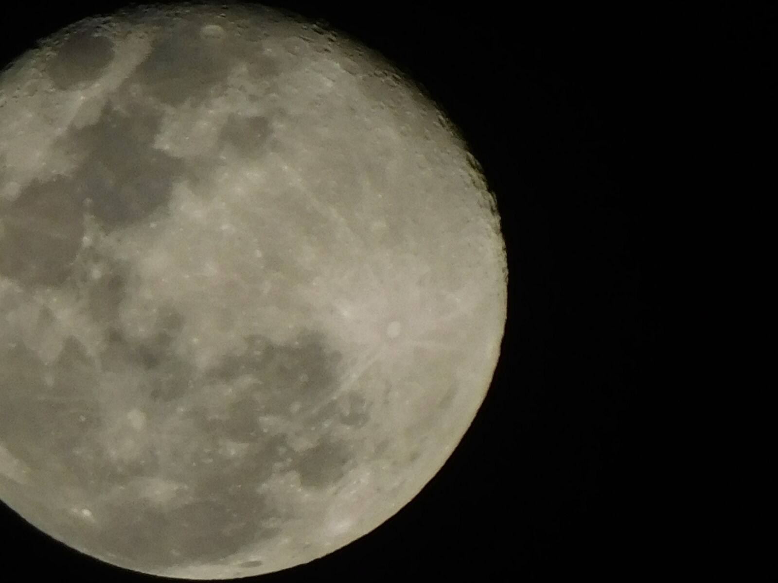 Nikon Coolpix B500 sample photo