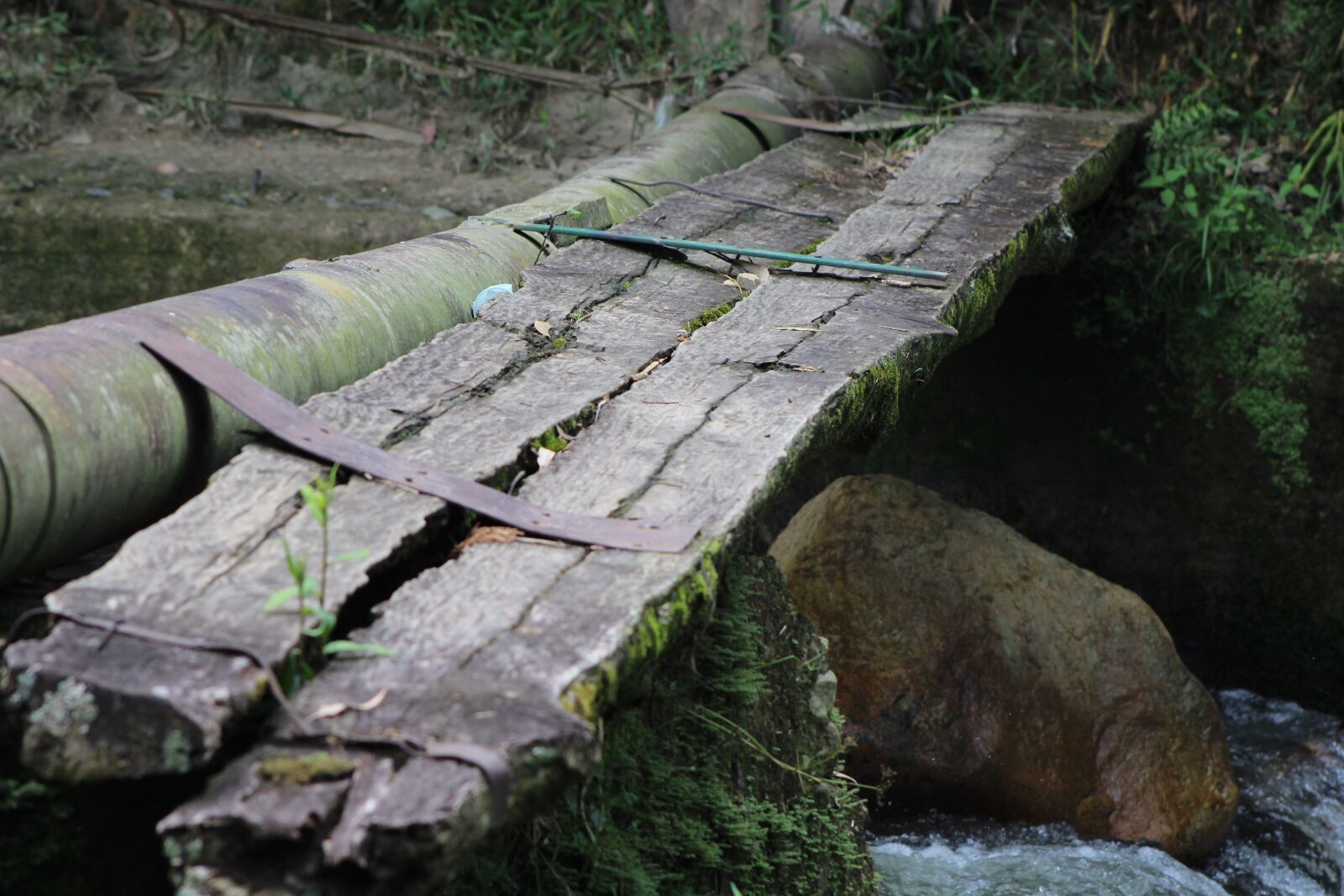 Canon EOS 1300D (EOS Rebel T6 / EOS Kiss X80) sample photo. Bridge, path, bridge over photography