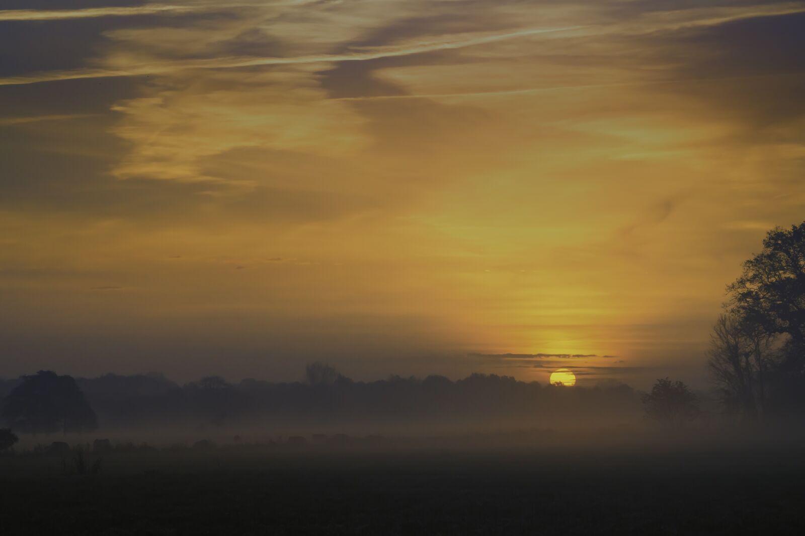 Sony SLT-A58 + Sony DT 18-200mm F3.5-6.3 sample photo. Sunrise, nature, landscape photography