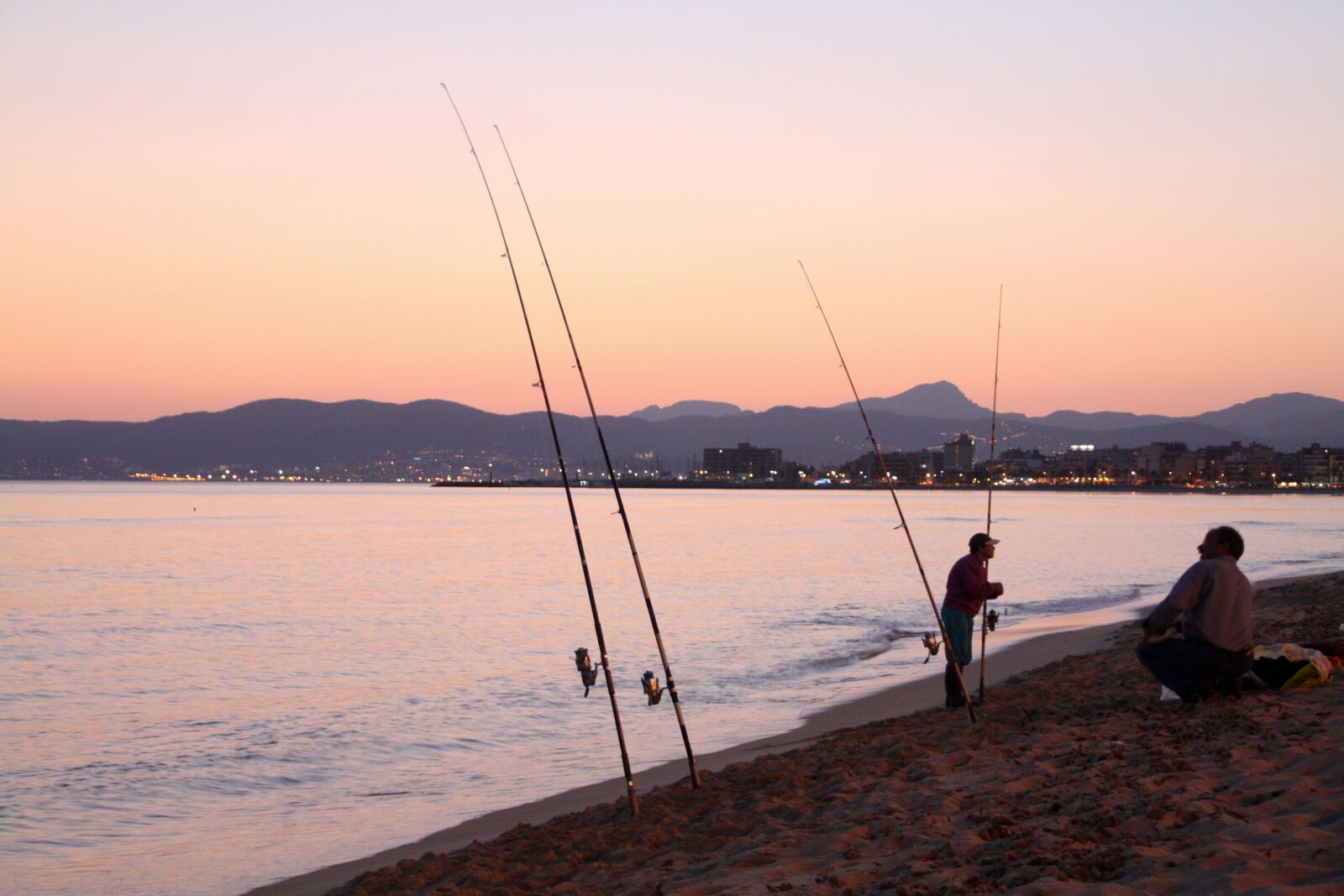 Canon EOS 450D (EOS Rebel XSi / EOS Kiss X2) sample photo. Fish, sea, beach photography