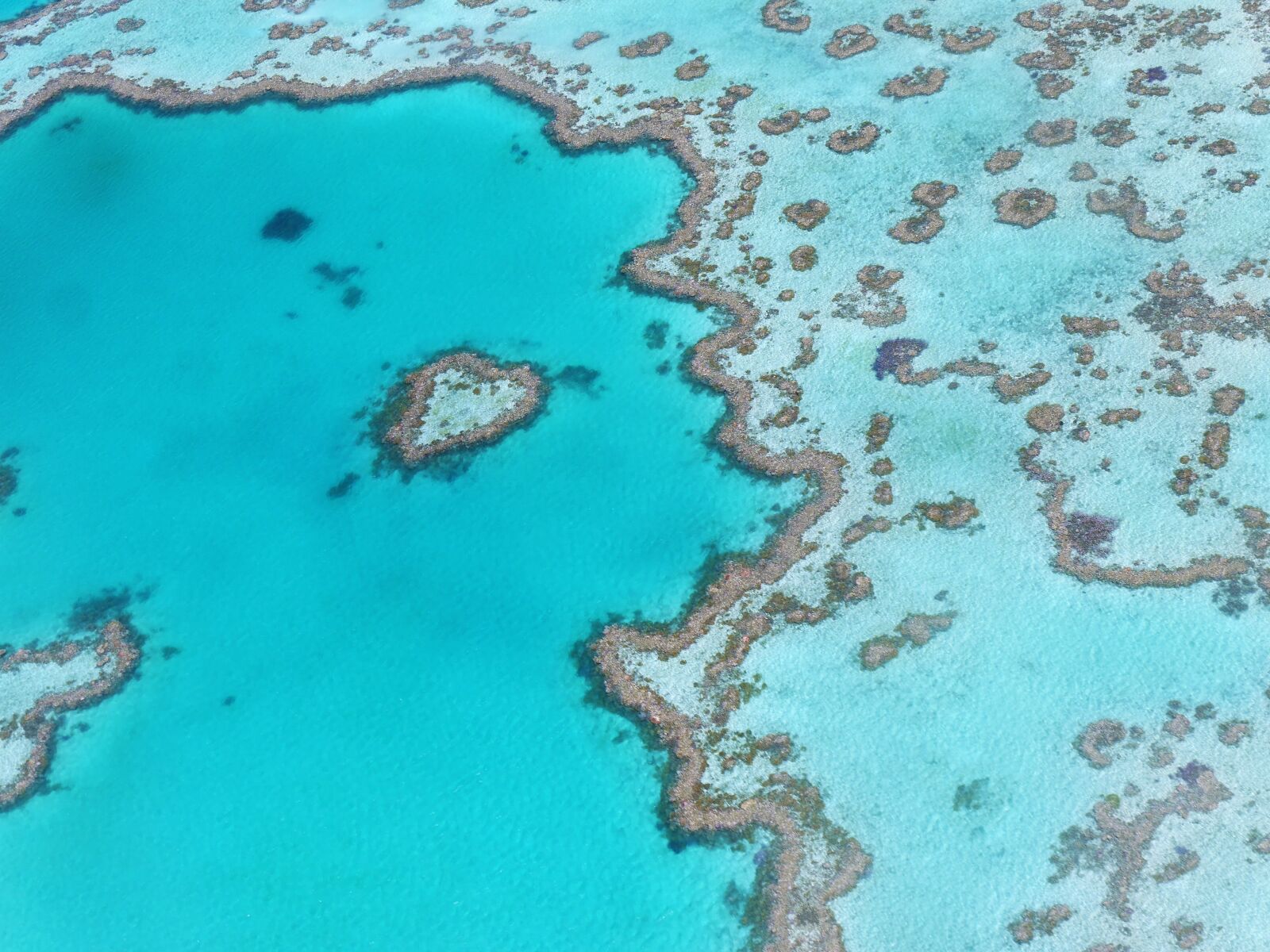Panasonic Lumix DMC-G6 sample photo. Heart reef, australia, great photography