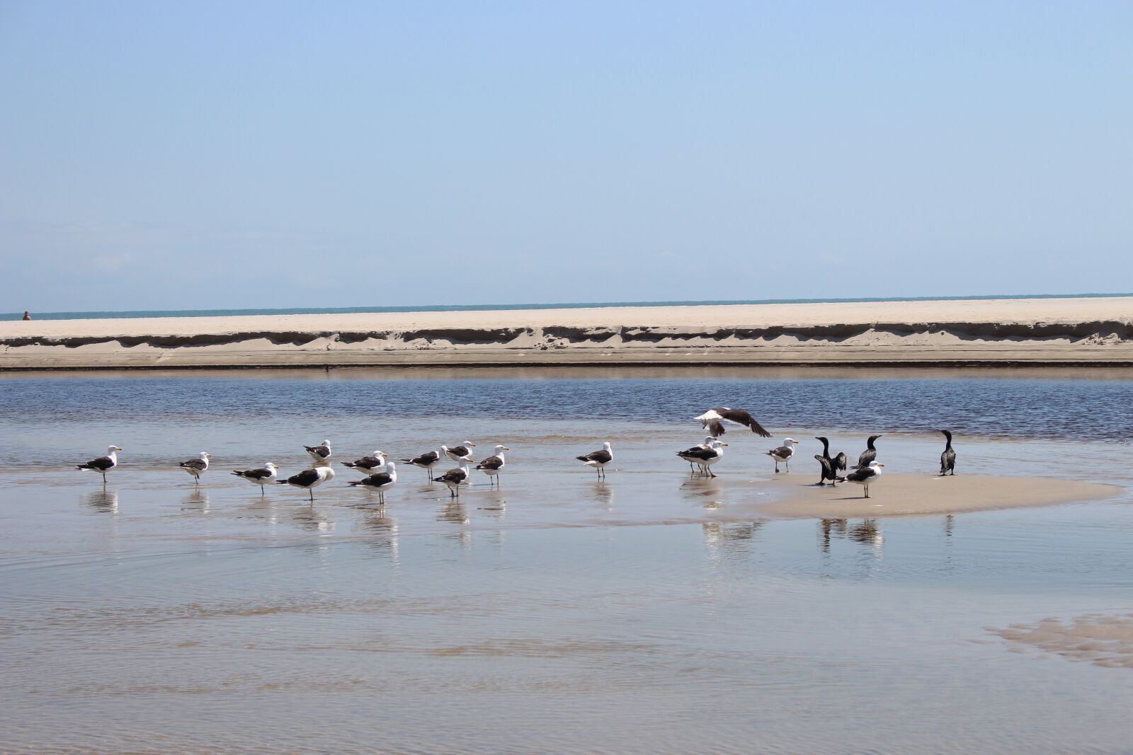 Canon EOS 700D (EOS Rebel T5i / EOS Kiss X7i) sample photo. Mar, water, ocean photography