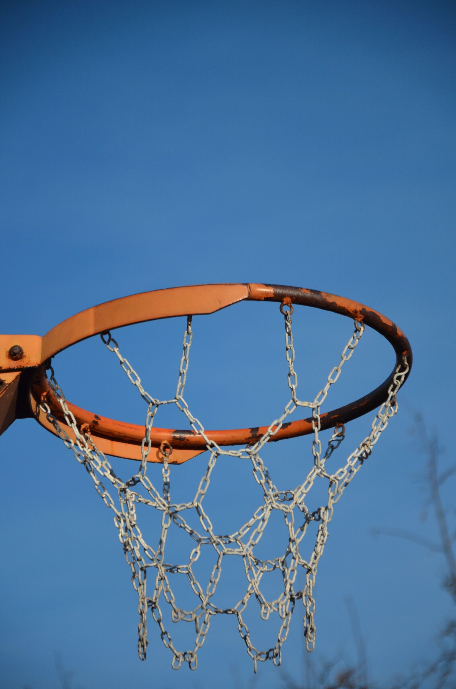 Nikon D5100 sample photo. Basketball, ball, sport photography