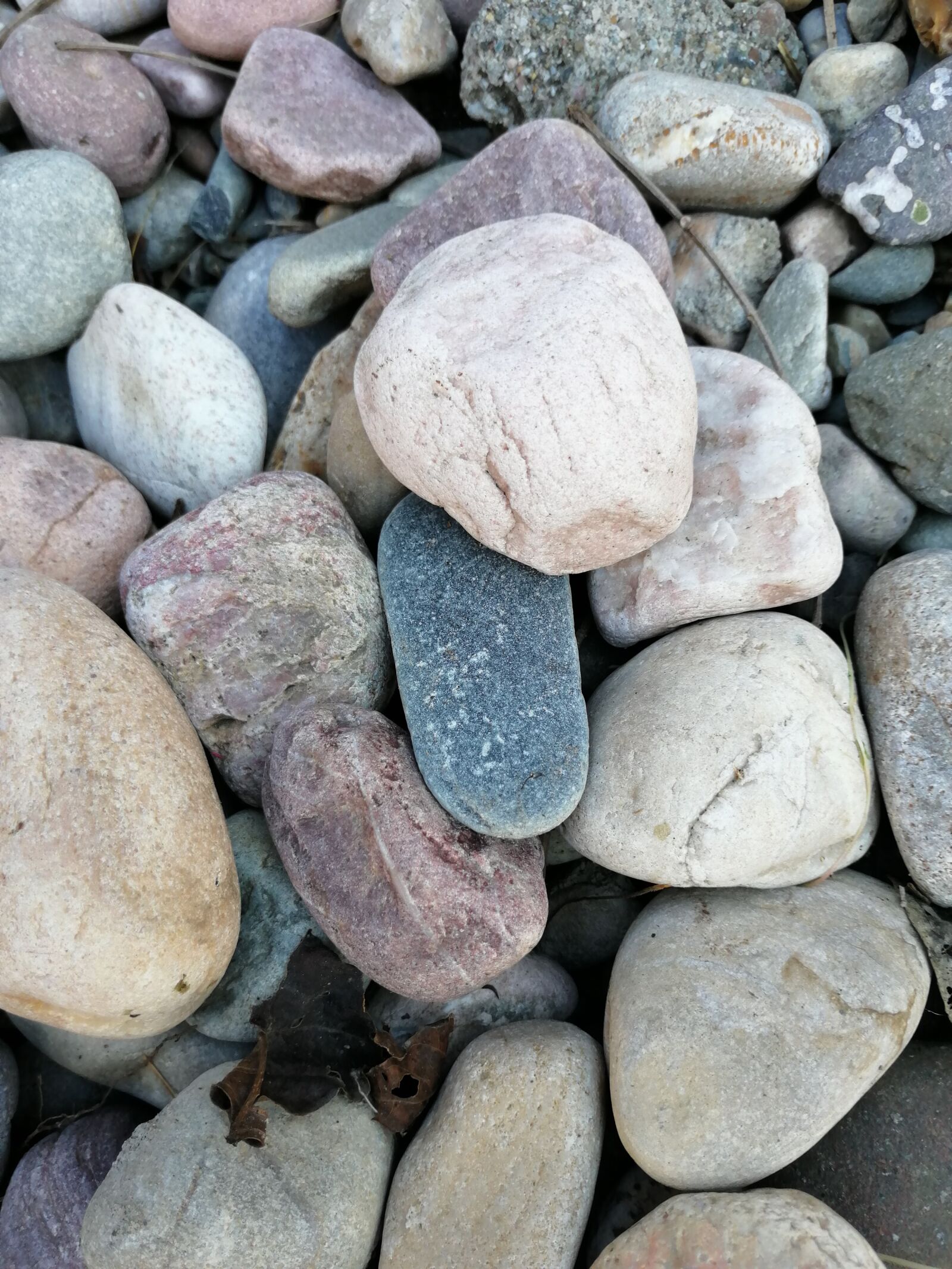 HUAWEI Honor 8x sample photo. Gray, surface, beautiful photography