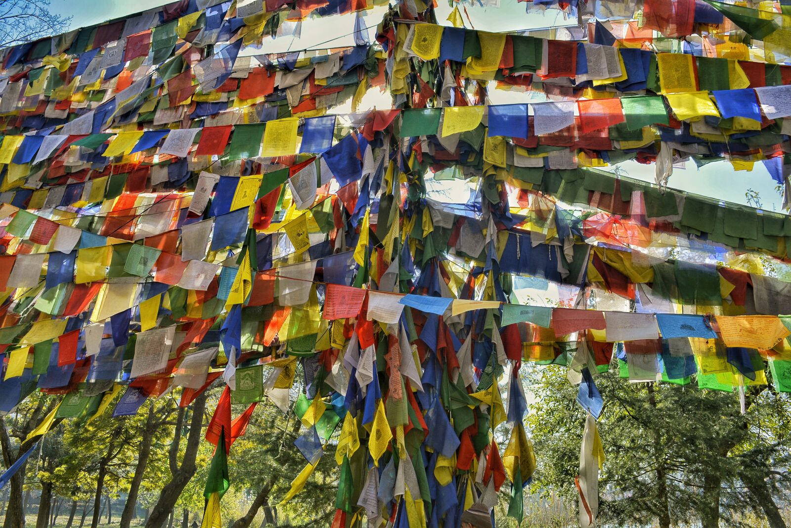 Nikon D5200 sample photo. Flags, india, flag photography