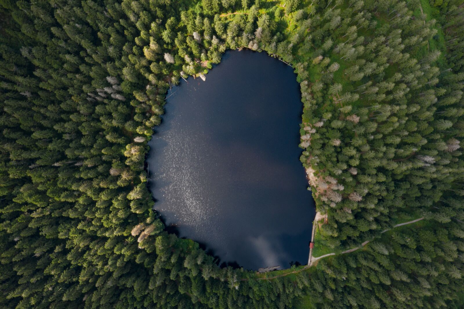 Hasselblad L1D-20c sample photo. Lake, waldsee, forest photography