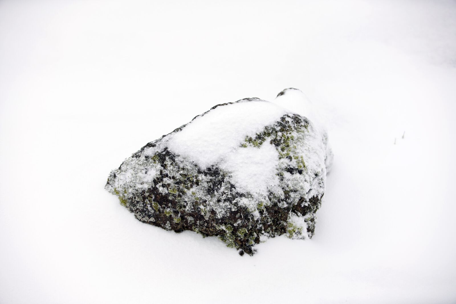 Canon EF 70-200mm F2.8L USM sample photo. Snow, white, winter photography