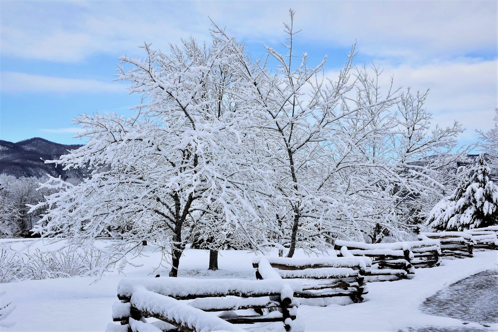 Nikon D7200 sample photo. Snow, winter, landscape photography