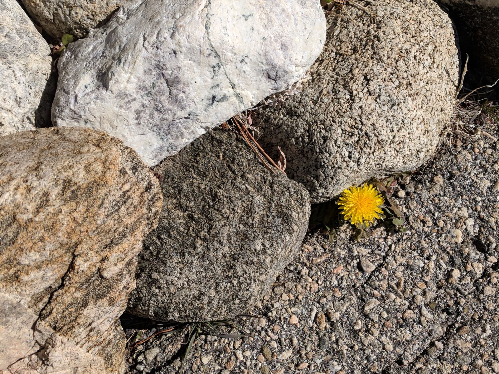 Google Pixel sample photo. Stone, nature, rock photography