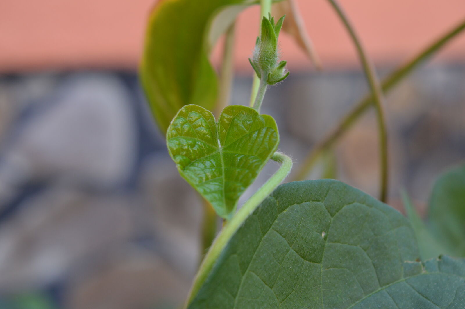 Nikon D3200 sample photo
