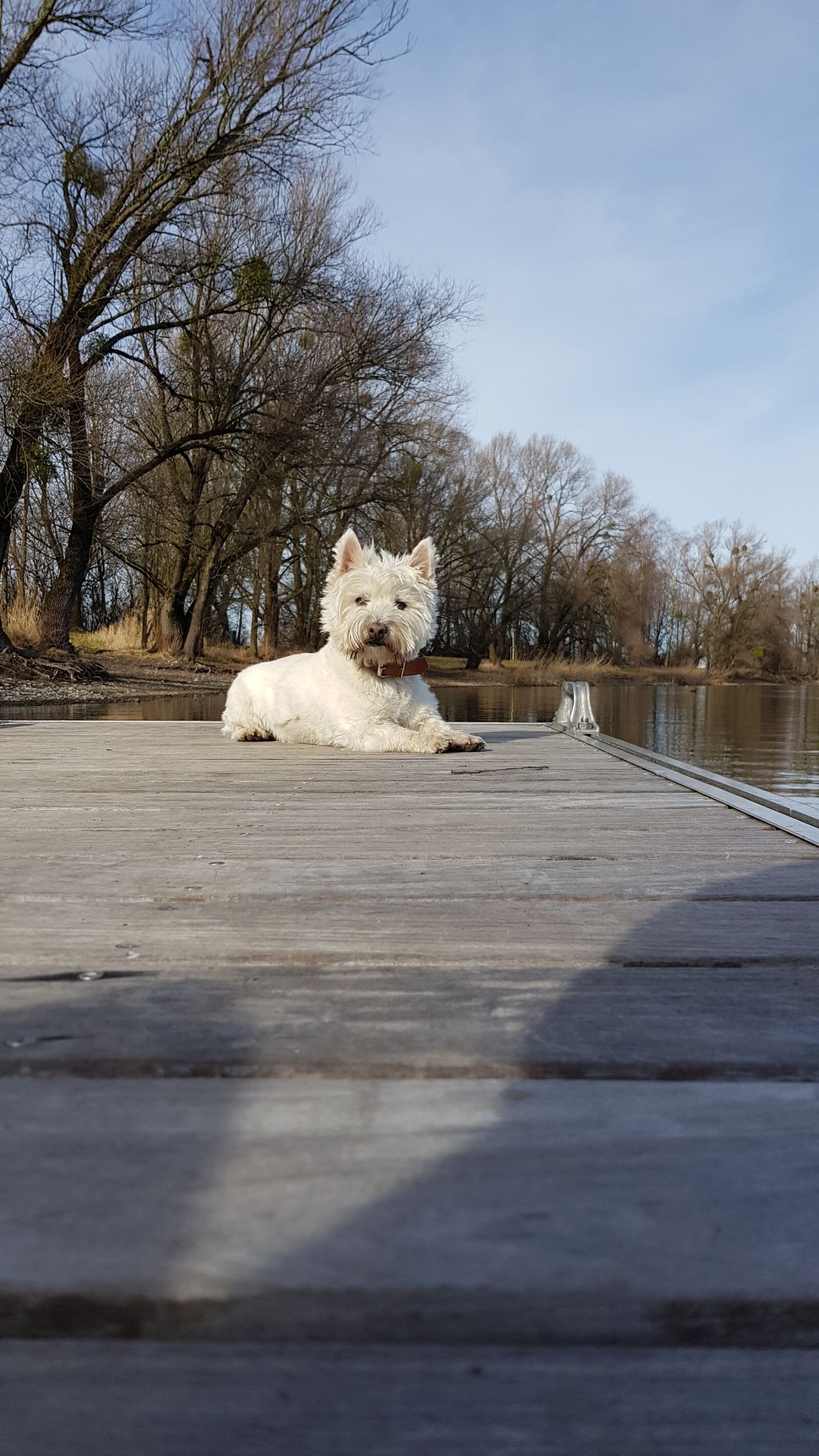 Samsung Galaxy S8 sample photo. Today, most, day photography