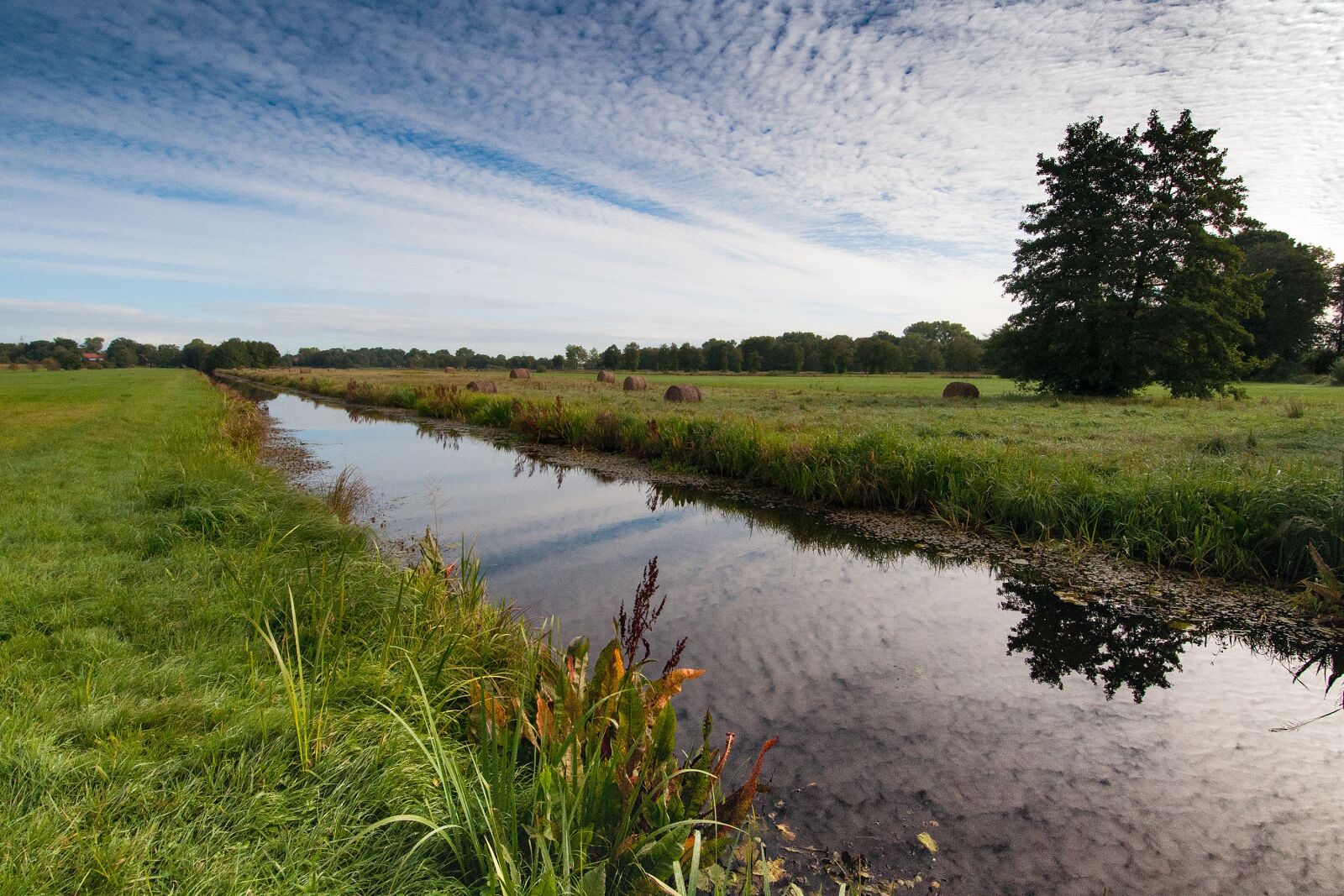 Nikon D90 sample photo. Blockland, bremen, northern germany photography