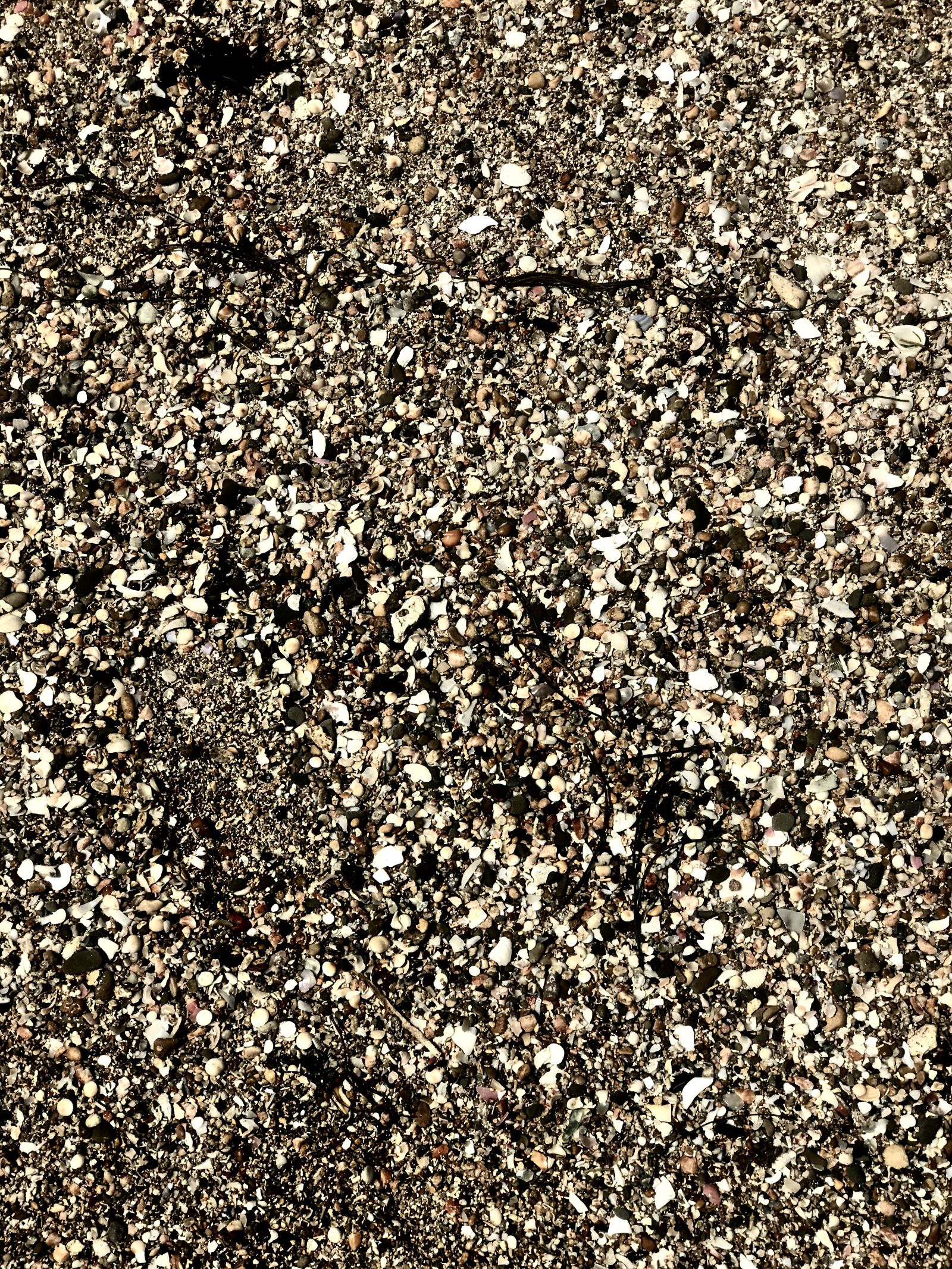 Apple iPhone 7 Plus sample photo. Nature, sea, sand photography