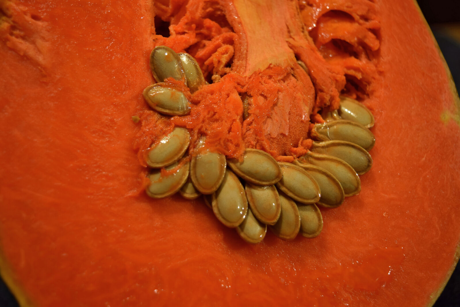 Nikon D3300 sample photo. Autumn, dynia, orange, pumpkin photography