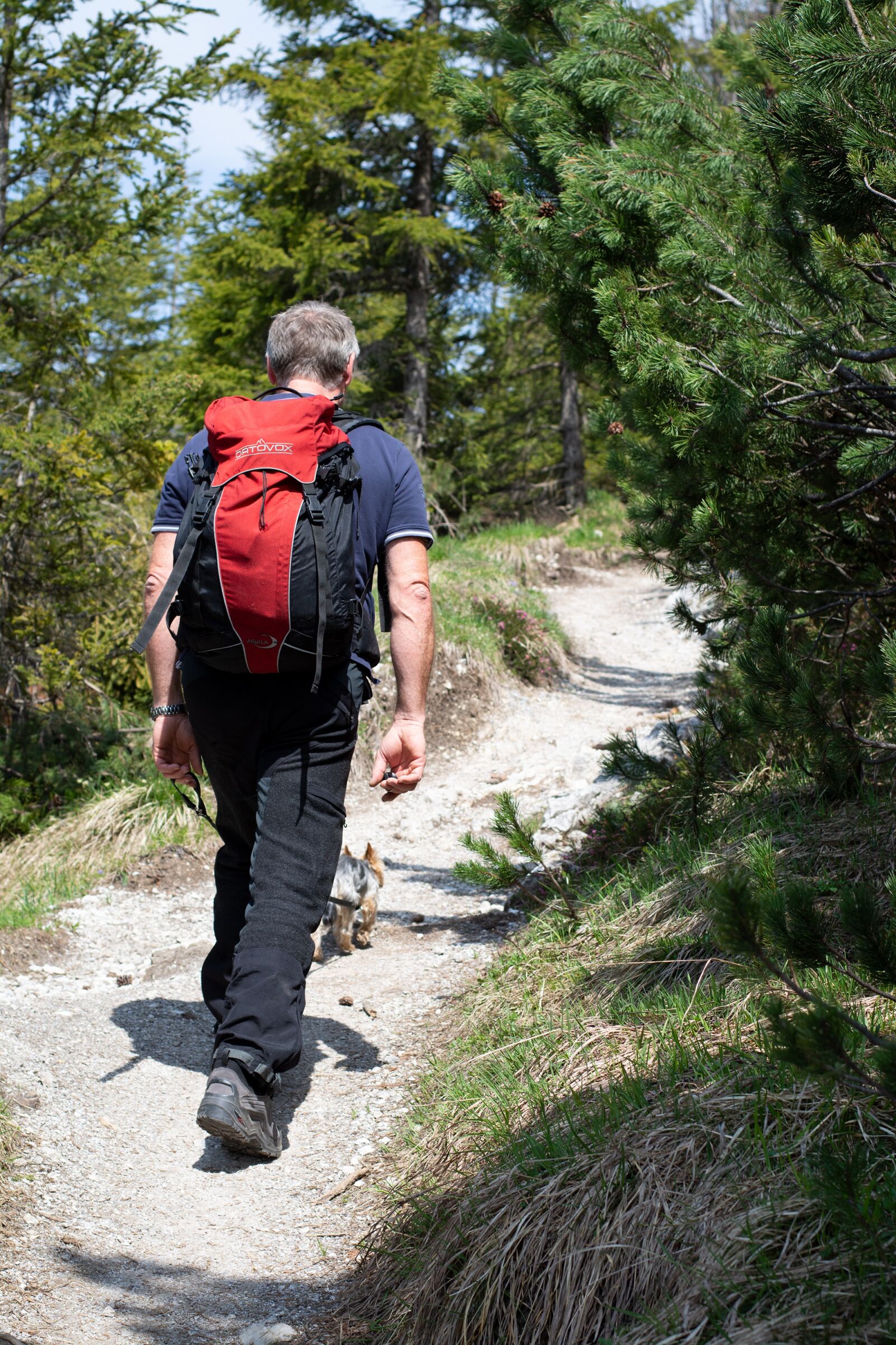 Nikon D7100 sample photo. Hiking, person, hike photography