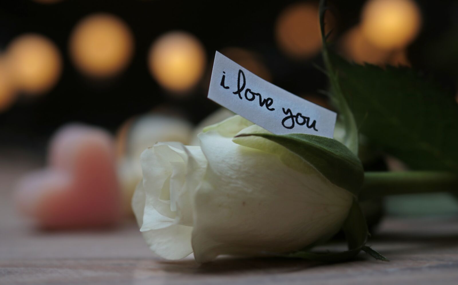 Canon EOS 80D sample photo. Rose, bokeh, heart photography