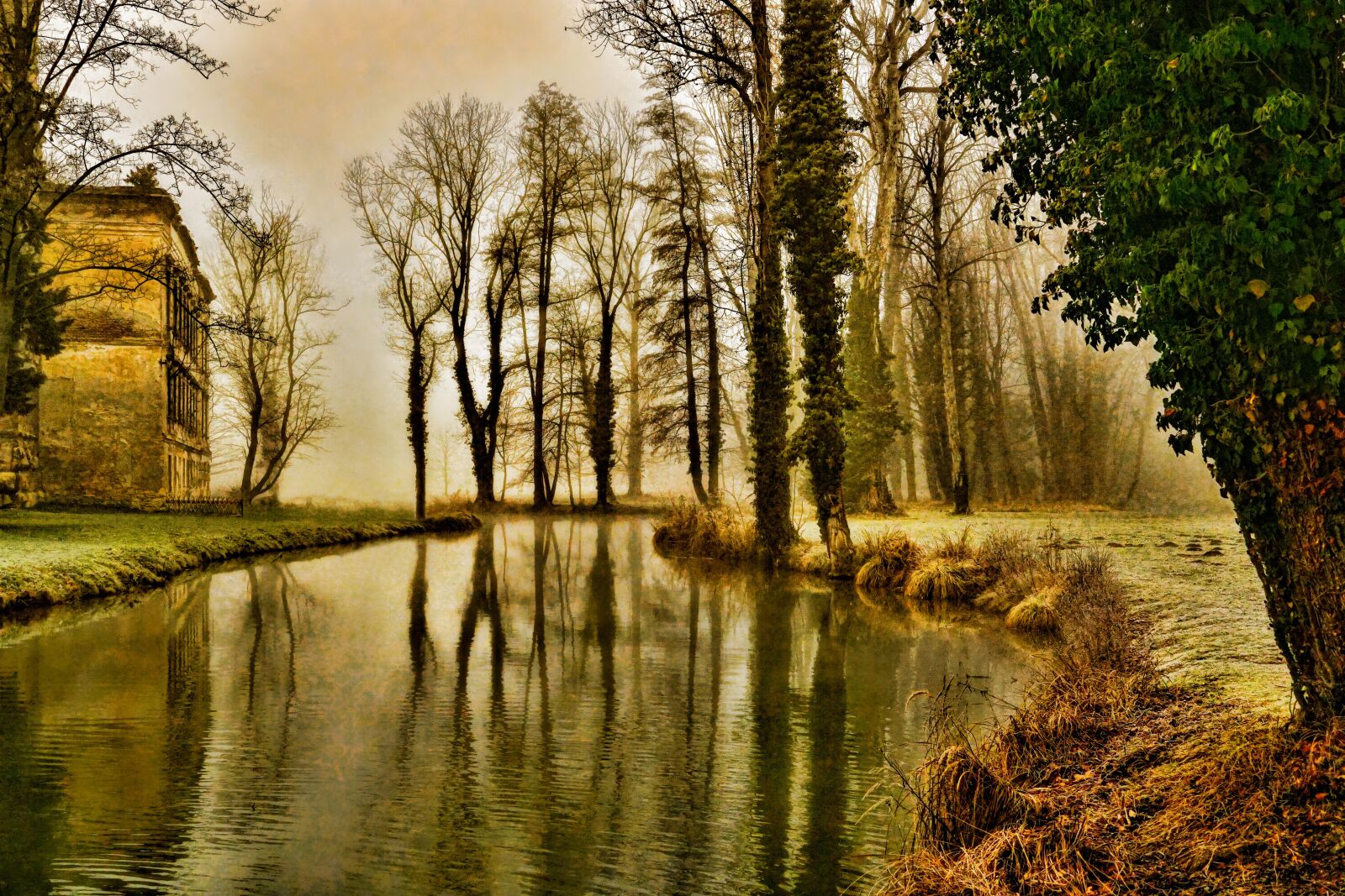 Sony a6000 sample photo. Winter, autumn, nature photography