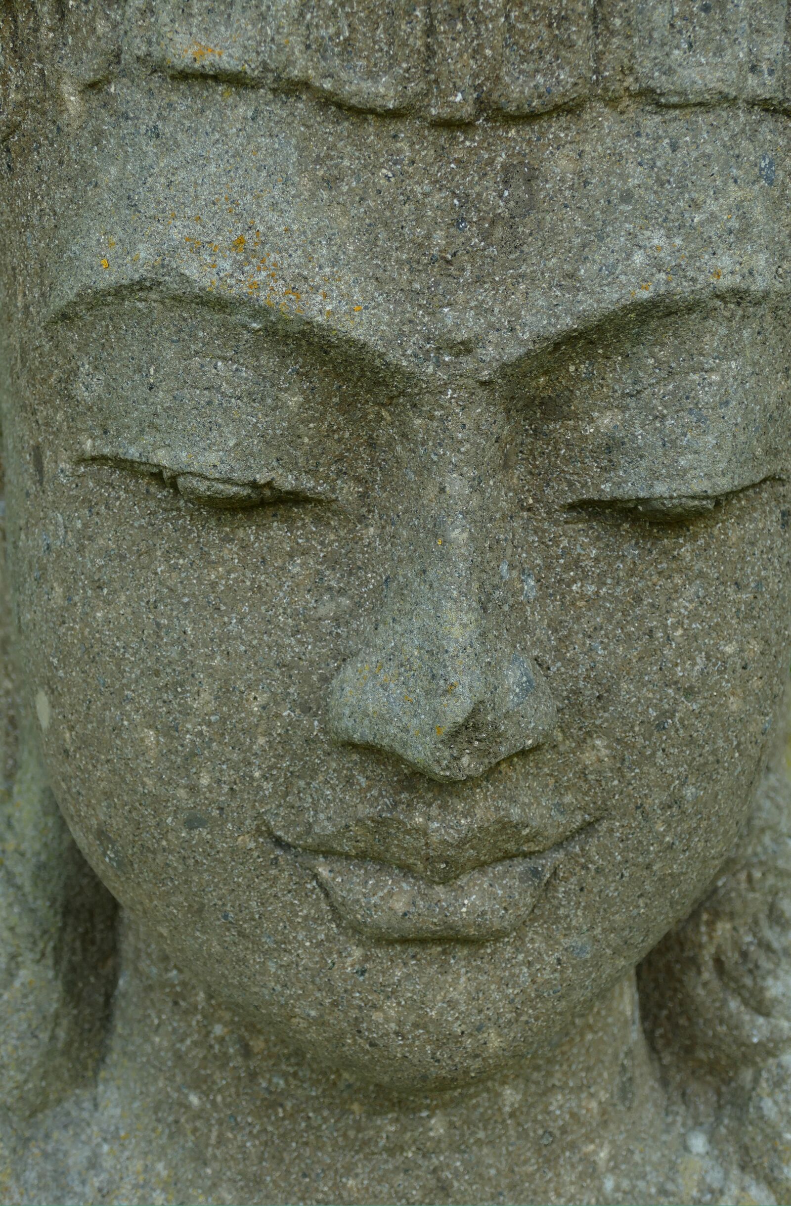Panasonic Lumix DMC-FZ1000 sample photo. Image, sculpture, head photography
