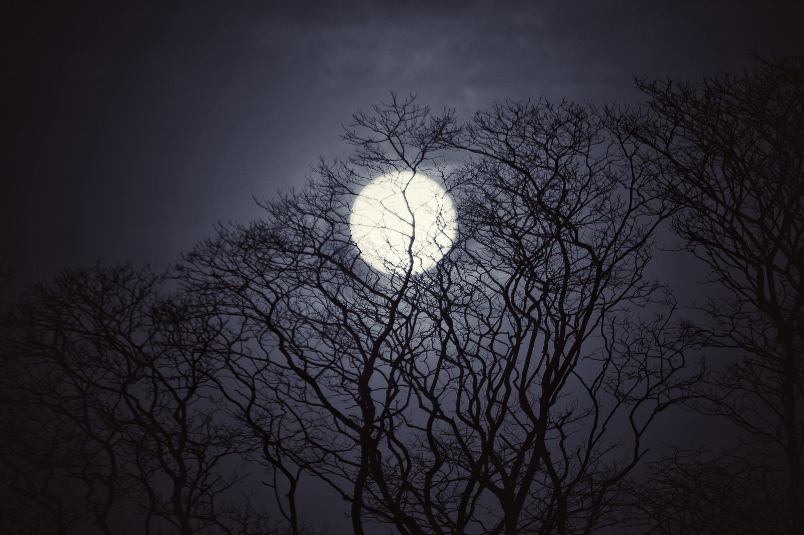Nikon D5100 sample photo. Moon, night, sky photography